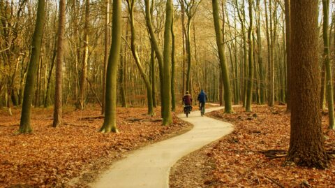 Bike school, bike tours, cours­es and self-help workshop