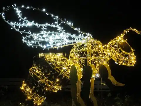 Jar­din de Noël Karlsruhe
